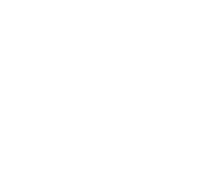 OLLIE